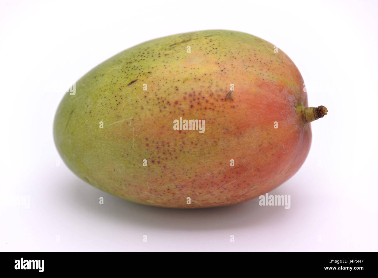 Mango, Mangifera Indica, Stockfoto