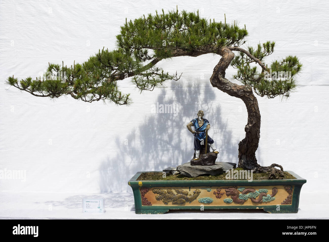 Baum Charakter Stockfotos und bilder Kaufen Alamy