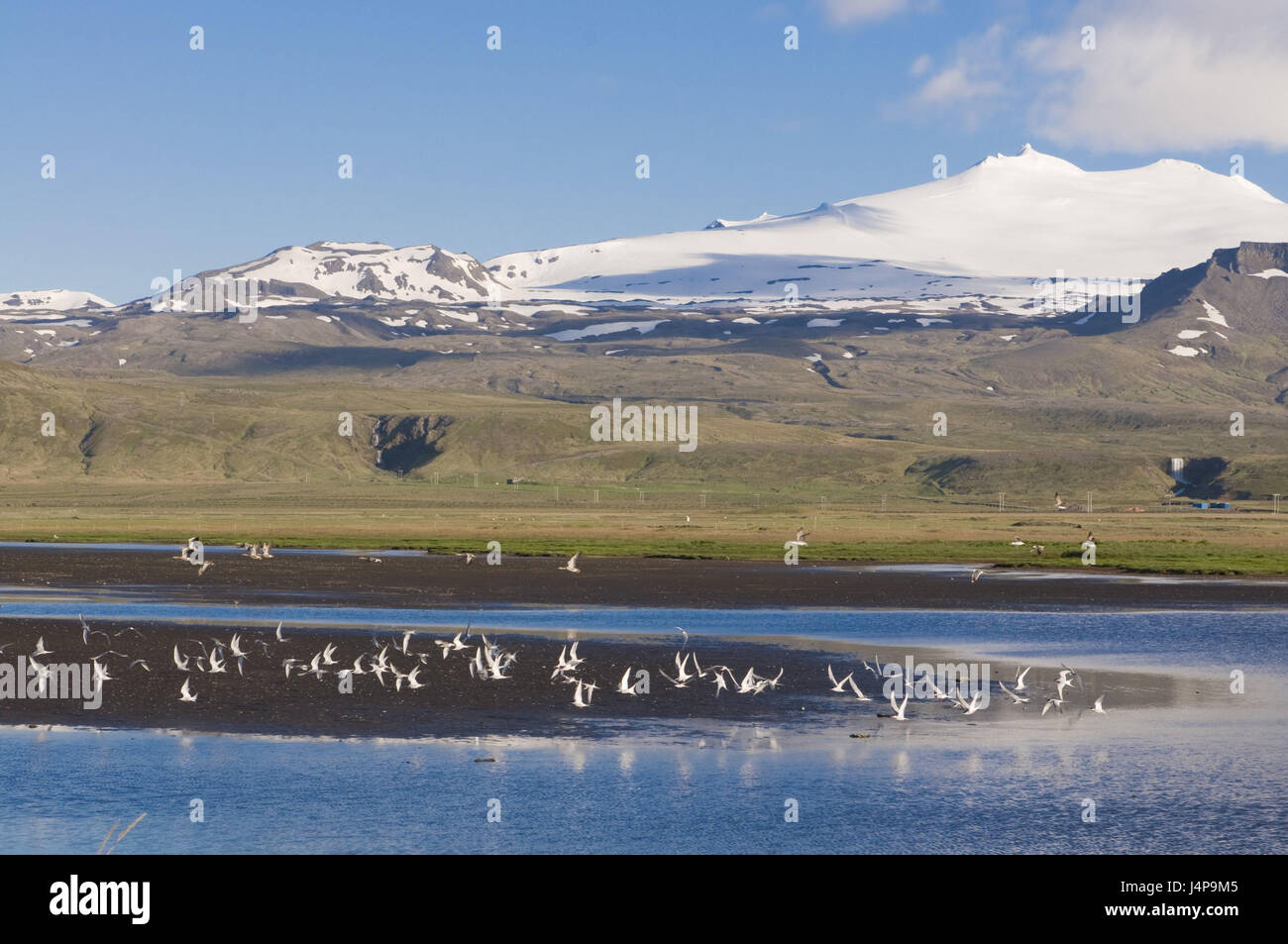 Berglandschaft, Fjord, Snaefellsjökull Nationalpark, Island, Stockfoto