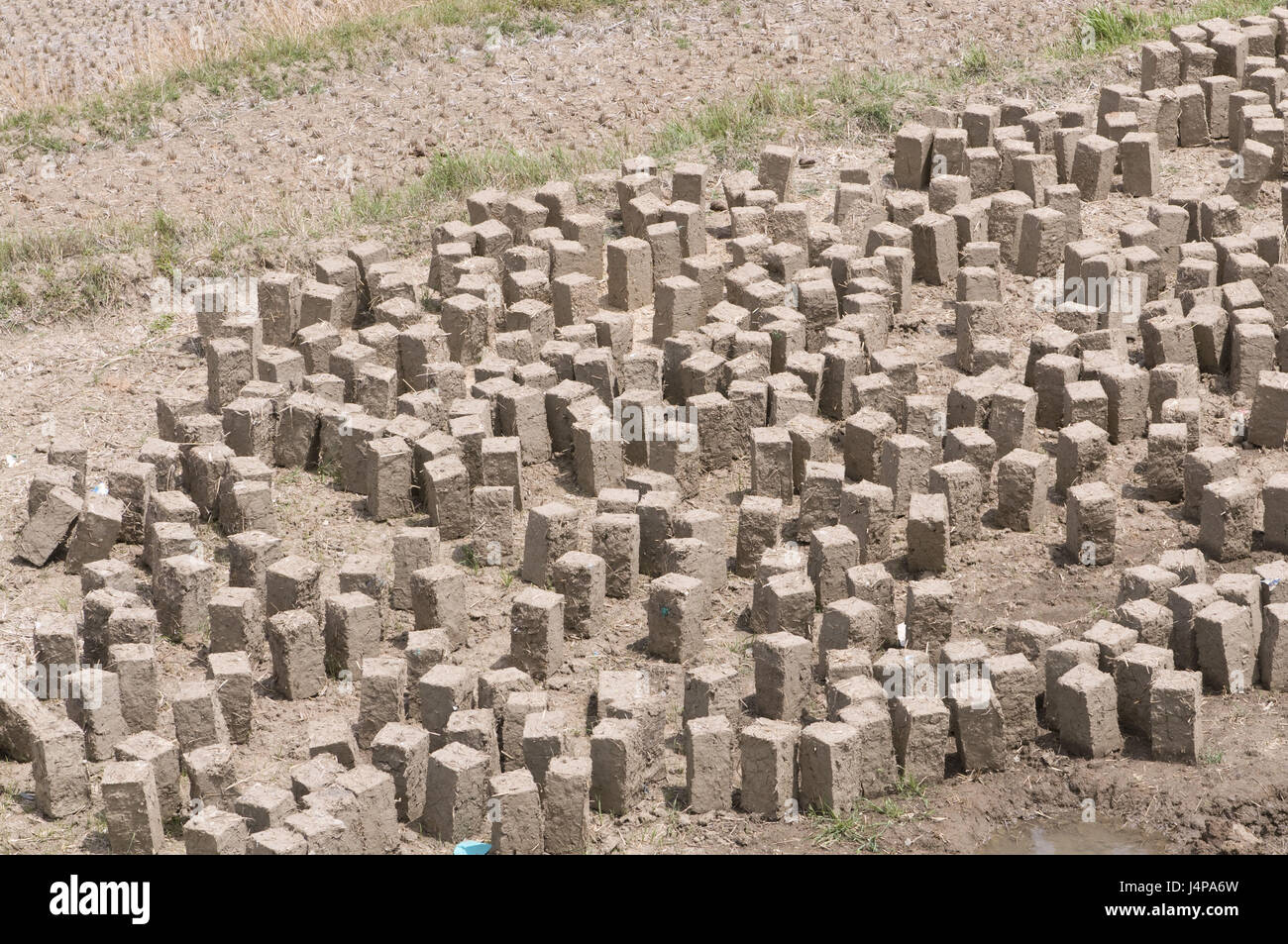 Ziegel, trocken, kommissioniert, Bhutan, Stockfoto