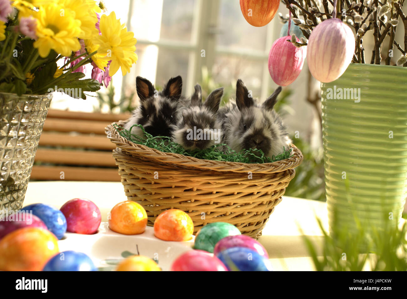 Osternest, Kaninchen, drei, süß, Stockfoto