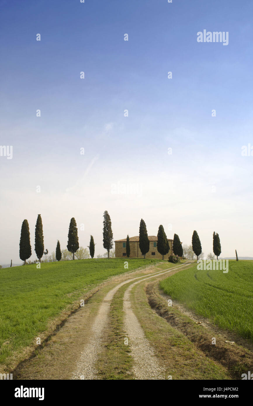 Bauernhof mit Pienza mit Zypressen-Serie, Toskana, Italien, Europa, Stockfoto