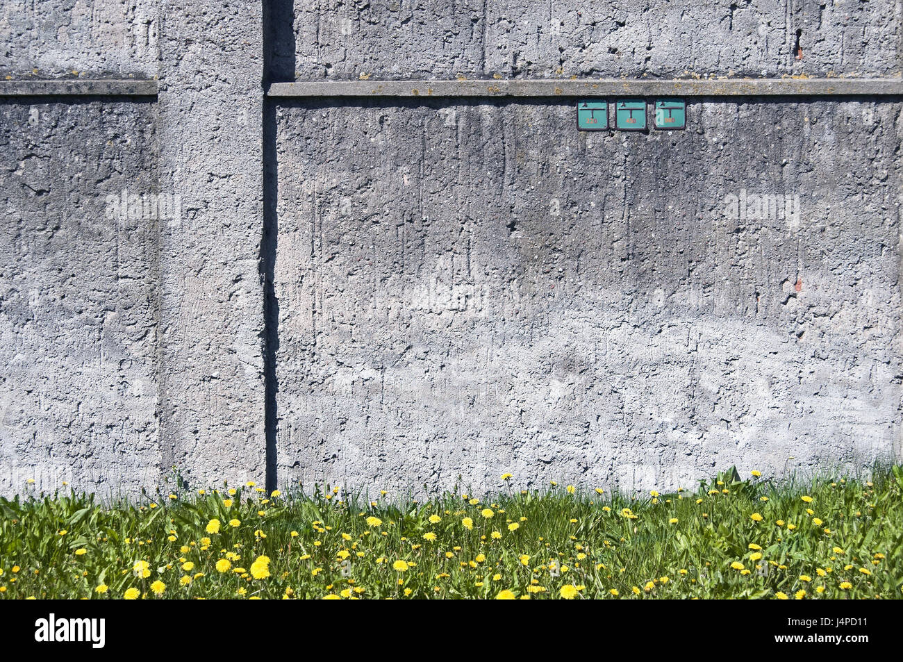 Fassade des Hauses, den Schildern zum Straßen Installationen, Löwenzahn Wiese, Detail, Stockfoto