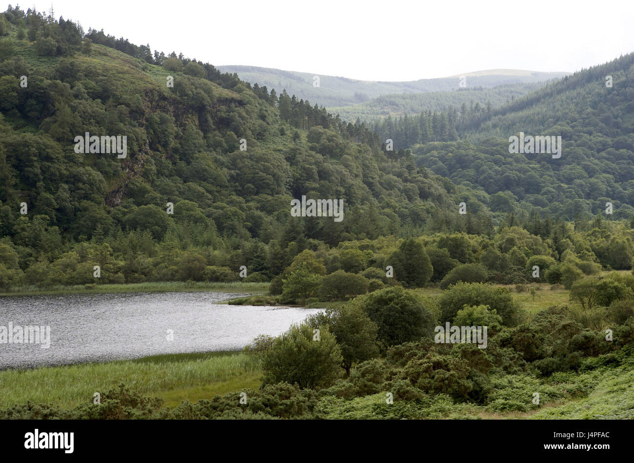 Irland, Leinster, County Wicklow, Glendalough, untere Sole, Stockfoto