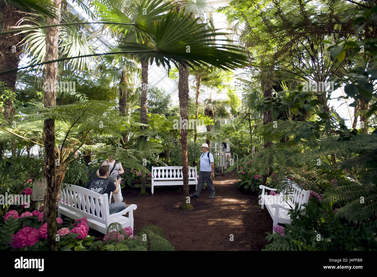 Österreich, Wien, Schloss Schönbrunn, Schlosspark, Palmenhaus, Stockfoto