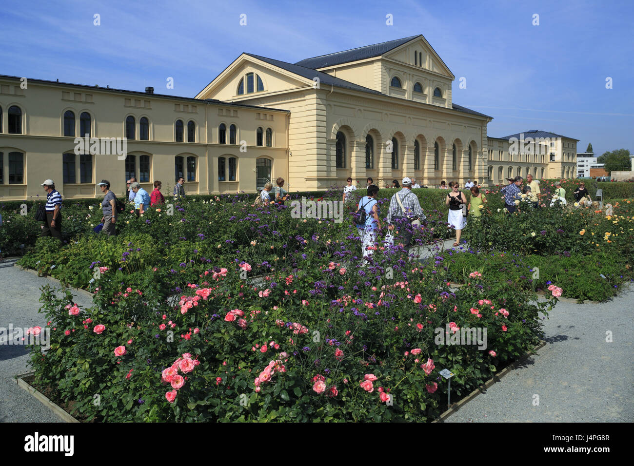 Deutschland, Mecklenburg-Vorpommern, Schwerin, technisches Landesmuseum, Garten und der Marstall, Rosengarten, Touristen, Stockfoto