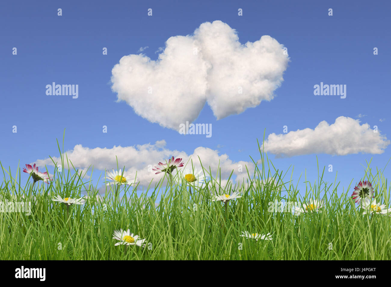 Blumenwiese Bewolkter Himmel Bildung Herz Wolke Stockfotografie Alamy