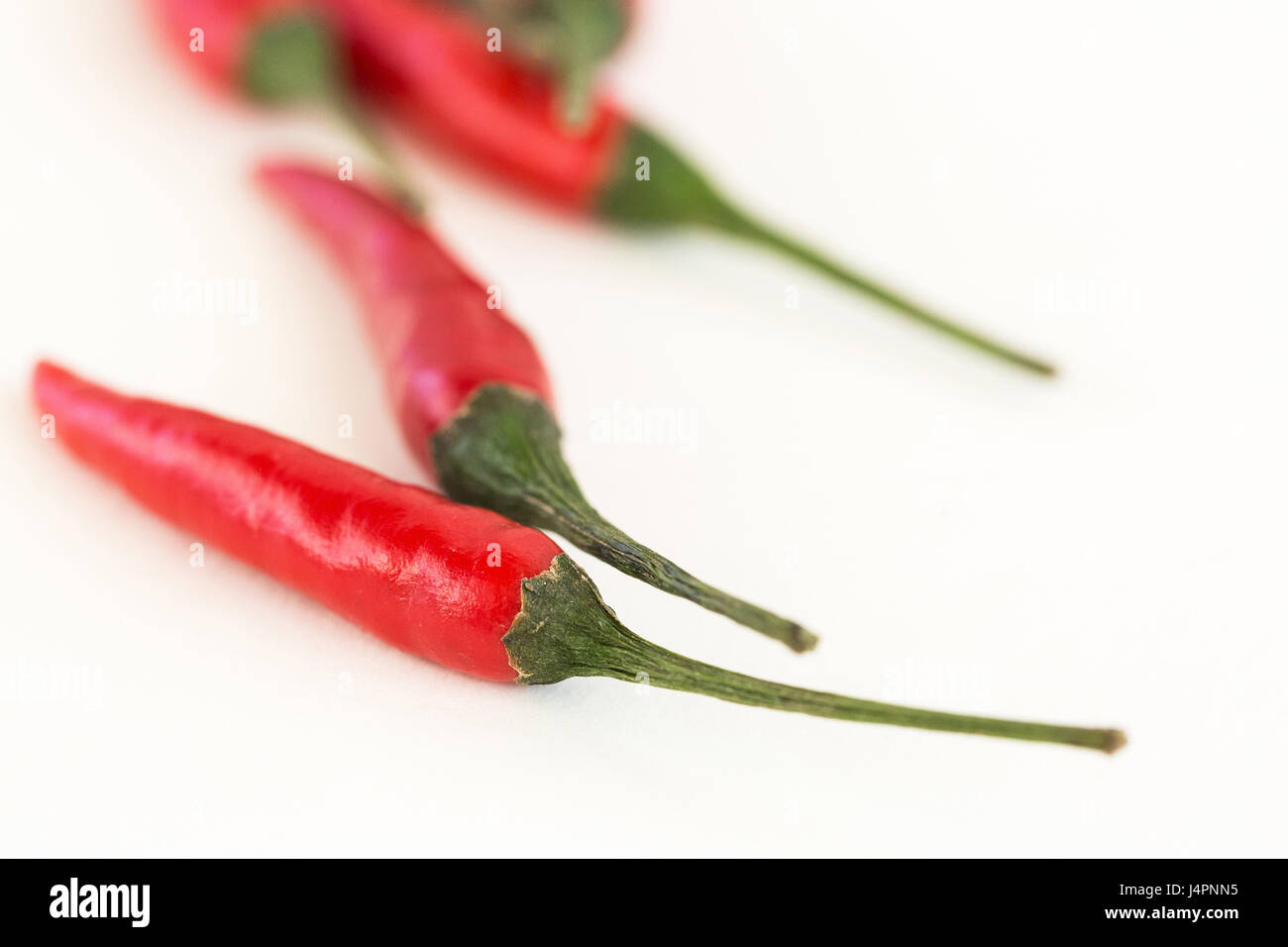 rote scharfe Chilischoten, beliebte Gewürze Konzept - Closeup auf drei leckeren saftigen sauber Pod von red hot Chili Peppers isoliert auf weißem Hintergrund, selektiven Fokus. Stockfoto
