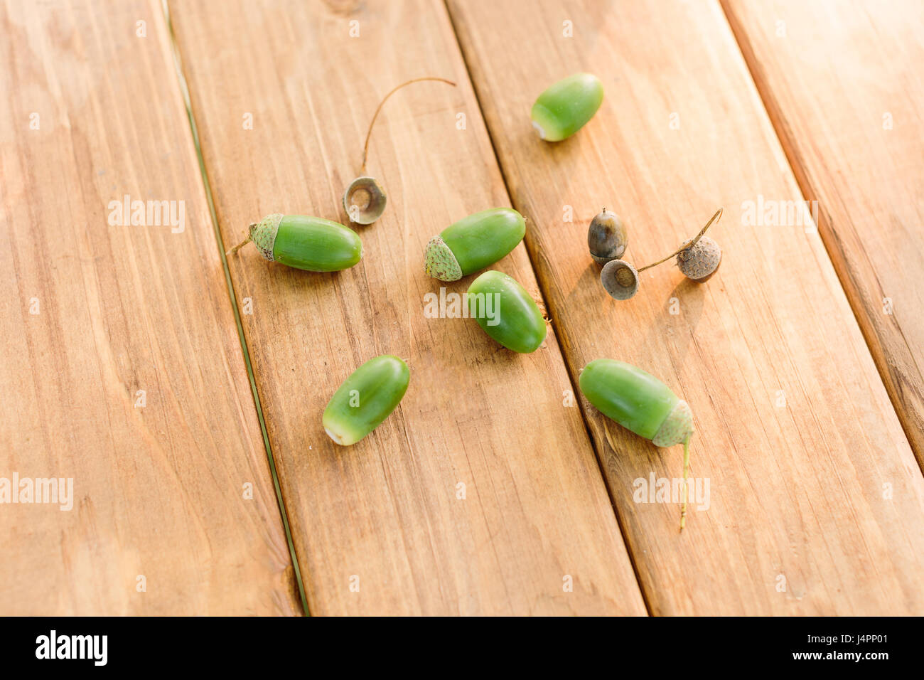 Eichel, Sommer-Natur, Eiche, Ökologie-Konzept - close-up auf sechs grüne Eicheln, die verstreut auf einem Holztisch, Zweige der Eiche und ein Hut gerupft Eicheln, Samen von Eiche, flach legen. Stockfoto