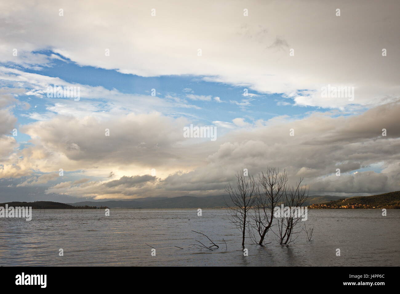 Ein See mit einigen Bäumen und Ästen aus Wasser, darunter ein stimmungsvoller Himmel, mit großen und niedrige Wolken Stockfoto