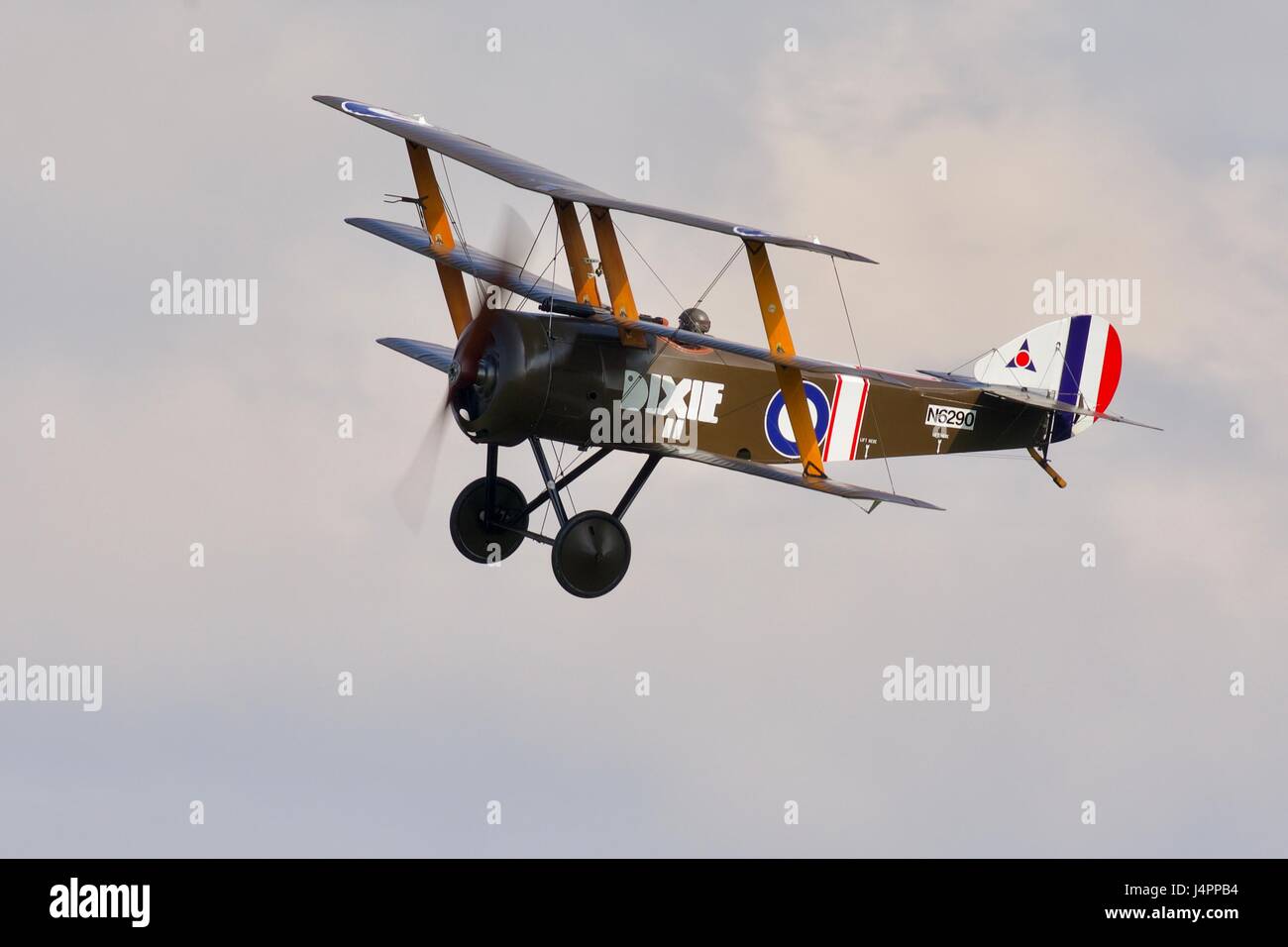 Sopwith Dreidecker "Dixie" fliegen bei Shuttleworth Stockfoto