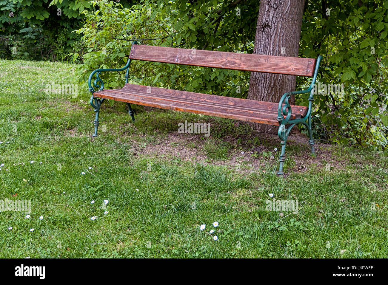 Sitzbank aus Holz, Eisen unter einem Rosskastanie Baum im Garten Stockfoto