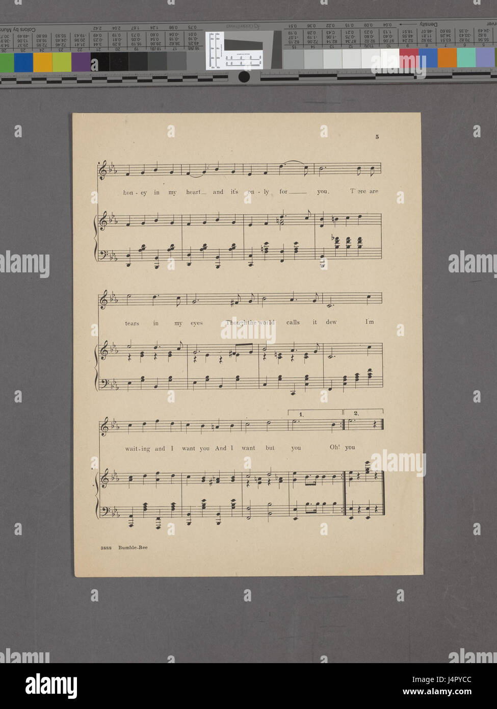 Die Geschichte von einer Hummel (NYPL Hades 1937796 2005308) Stockfoto