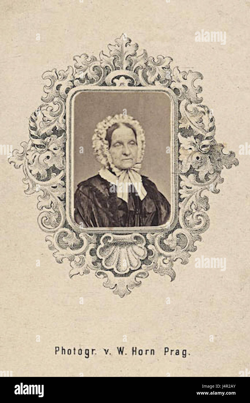 *Neznama Dama* (1860) von Wilhelm Horn ist ein Porträt einer unbekannten Dame, das den Porträtstil des 19. Jahrhunderts in Europa zeigt. Das Gemälde betont die detaillierte Darstellung der Kleidung und des Verhaltens des Motivs. Stockfoto