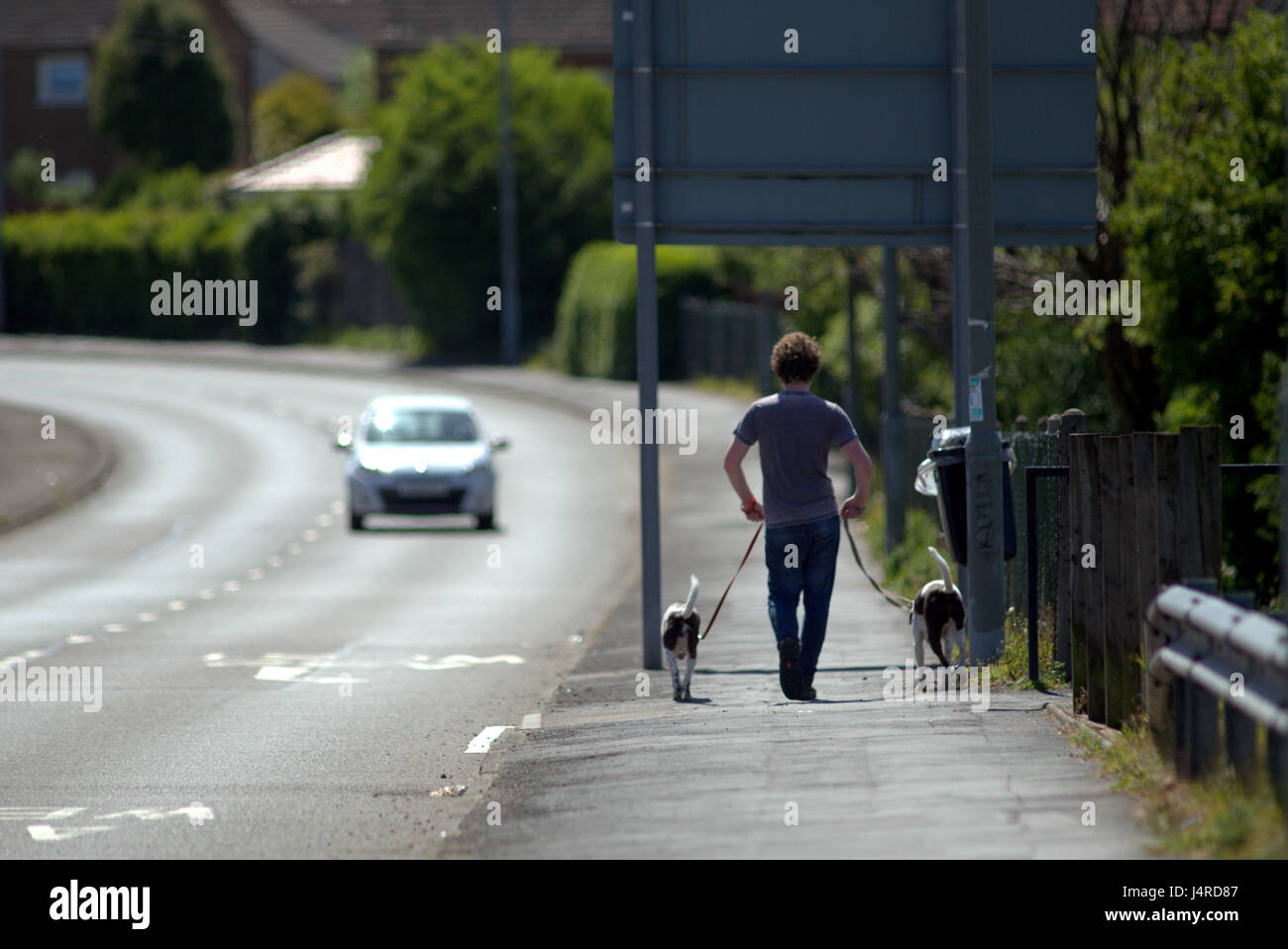 Glasgow, Schottland, 14. Mai, Glasgower hielt ihre Spitzen auf und gingen ihre Hunde wie der Sommer kehrte heute Credit: Gerard Fähre/Alamy Live News Stockfoto