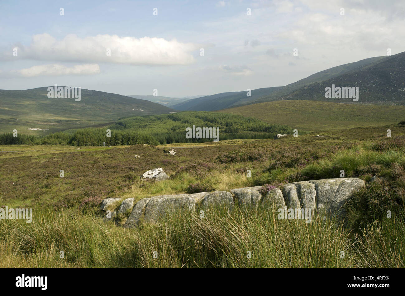Irland, Leinster, County Wicklow, Wicklow Mountain Nationalpark, Stockfoto