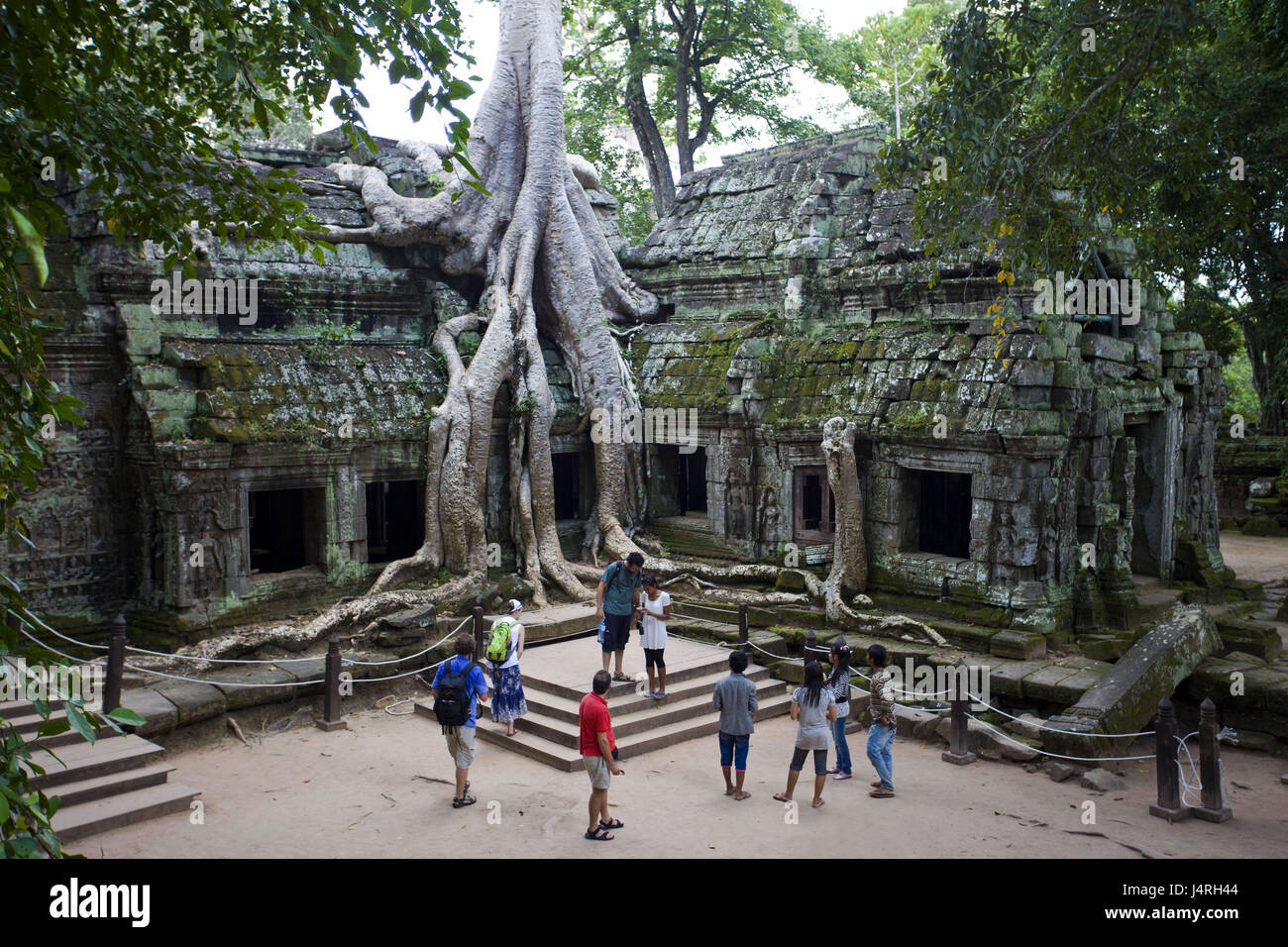 Kambodscha, Siem Reap, Angkor Wat, Ta Prohm Tempel, Besucher, Stockfoto