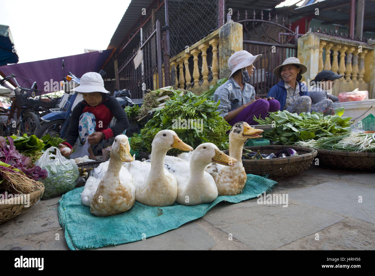 Vietnam, Hoi an In, Makrtfrauen, Straßenverkauf, Gemüse, Enten, Stockfoto