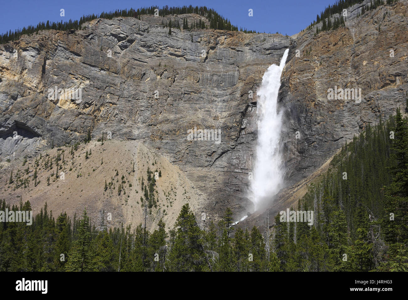 Wasserfall, Felswand, vertikal, hoch, niedrig, bewaldet, Kanada, Provinz British Columbia, Yoho National Park, Rocky Mountains, gespeisten des Falles, Stockfoto