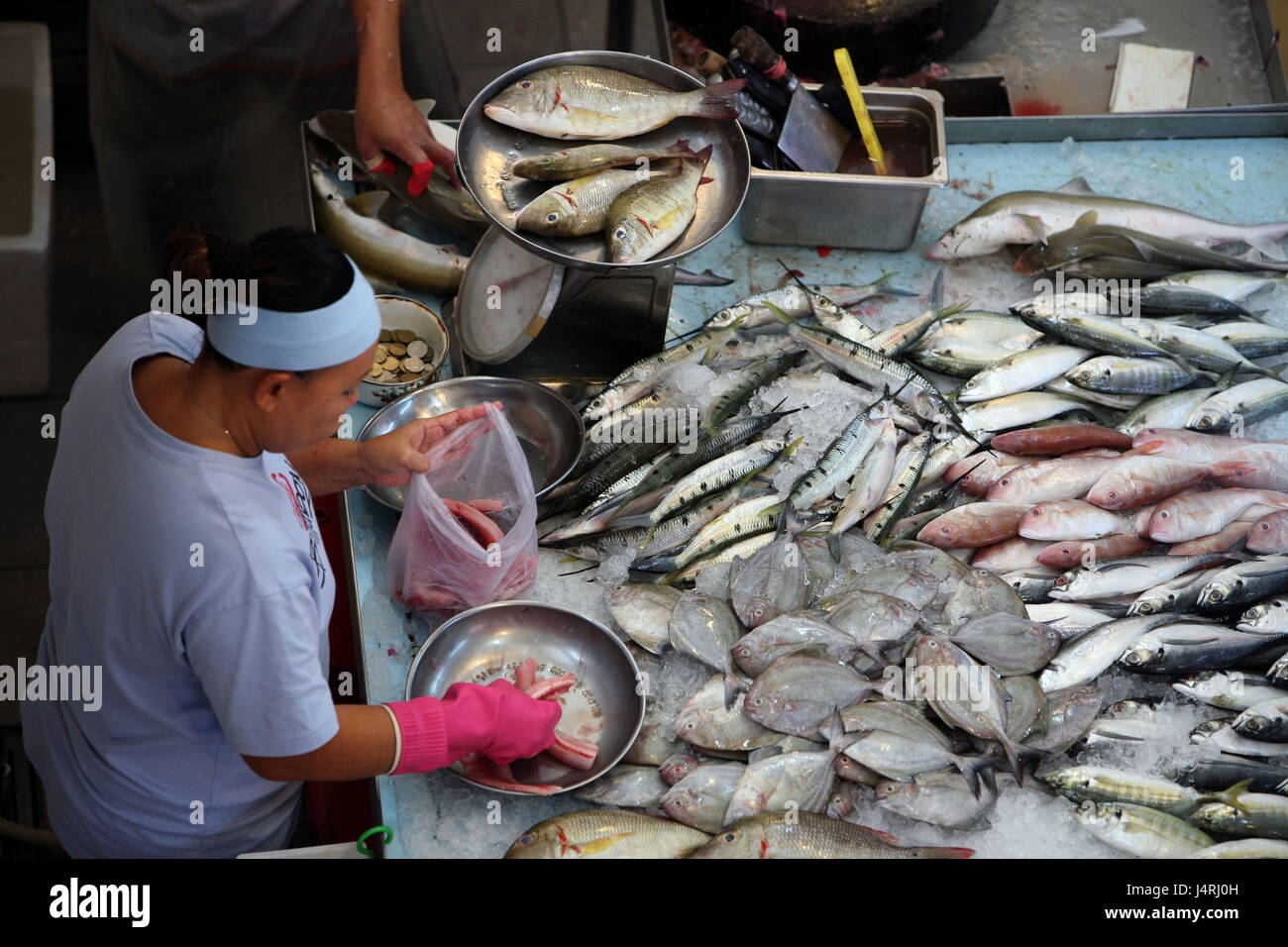 Singapur, Insel, Stadt, Little India, Fischmarkt, Fisch, Markthalle, Handel, Frau, kein Model-release Stockfoto