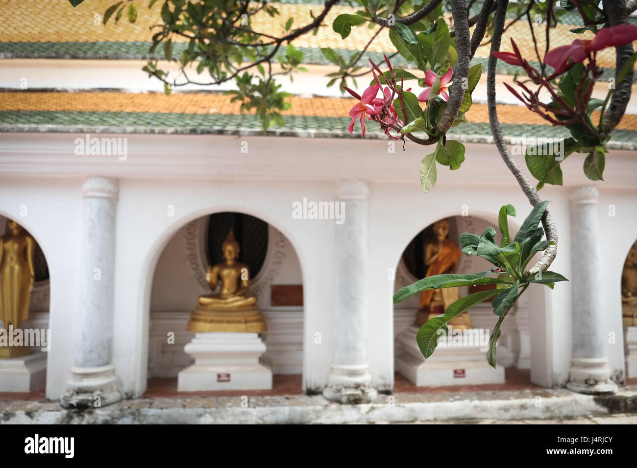 Welt-Religionen-Buddhismus in Thailand - Thai-buddhistischen Tempelgarten Stockfoto