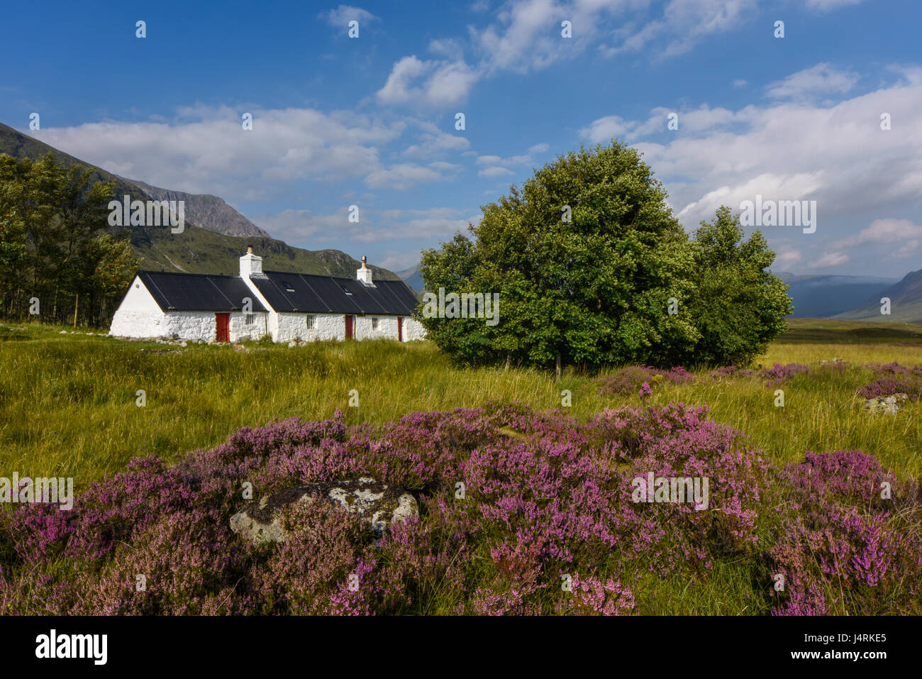 Schöne weiße Haus im malerischen Glencoe. Croft in den schottischen Highlands mit Heidekraut, Schottland, Vereinigtes Königreich Stockfoto