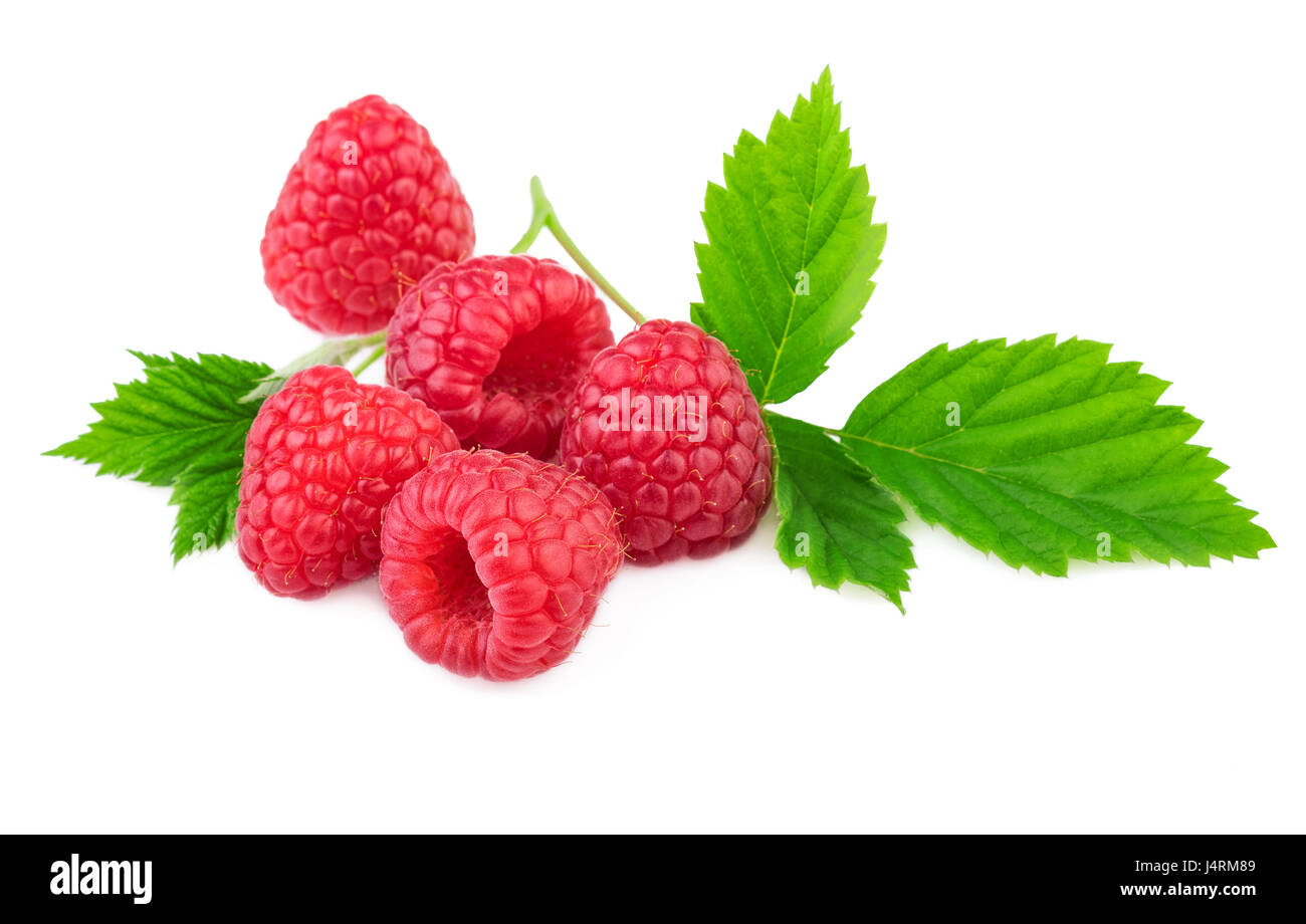 Isolierte Himbeeren. Bio Himbeer mit frischen Blatt isoliert auf weißem Hintergrund Stockfoto