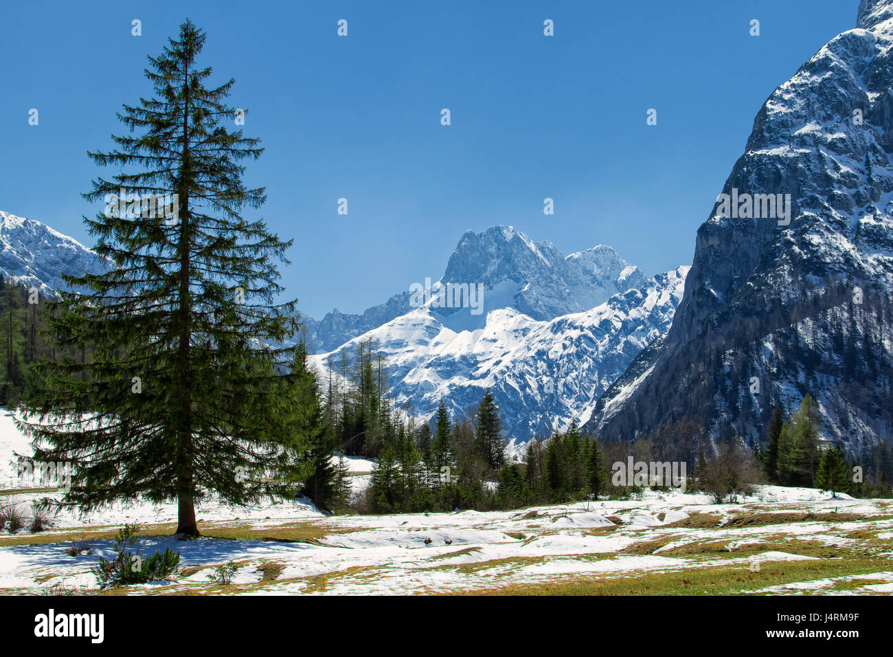 Majestätische Berglandschaft im frühen Frühling. Schneeschmelze in den Alpen, Österreich, Tirol Stockfoto