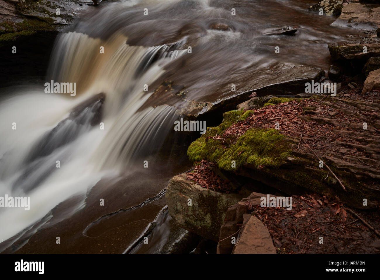 Ricketts Glen State Park, Benton, Pennsylvania, USA Stockfoto