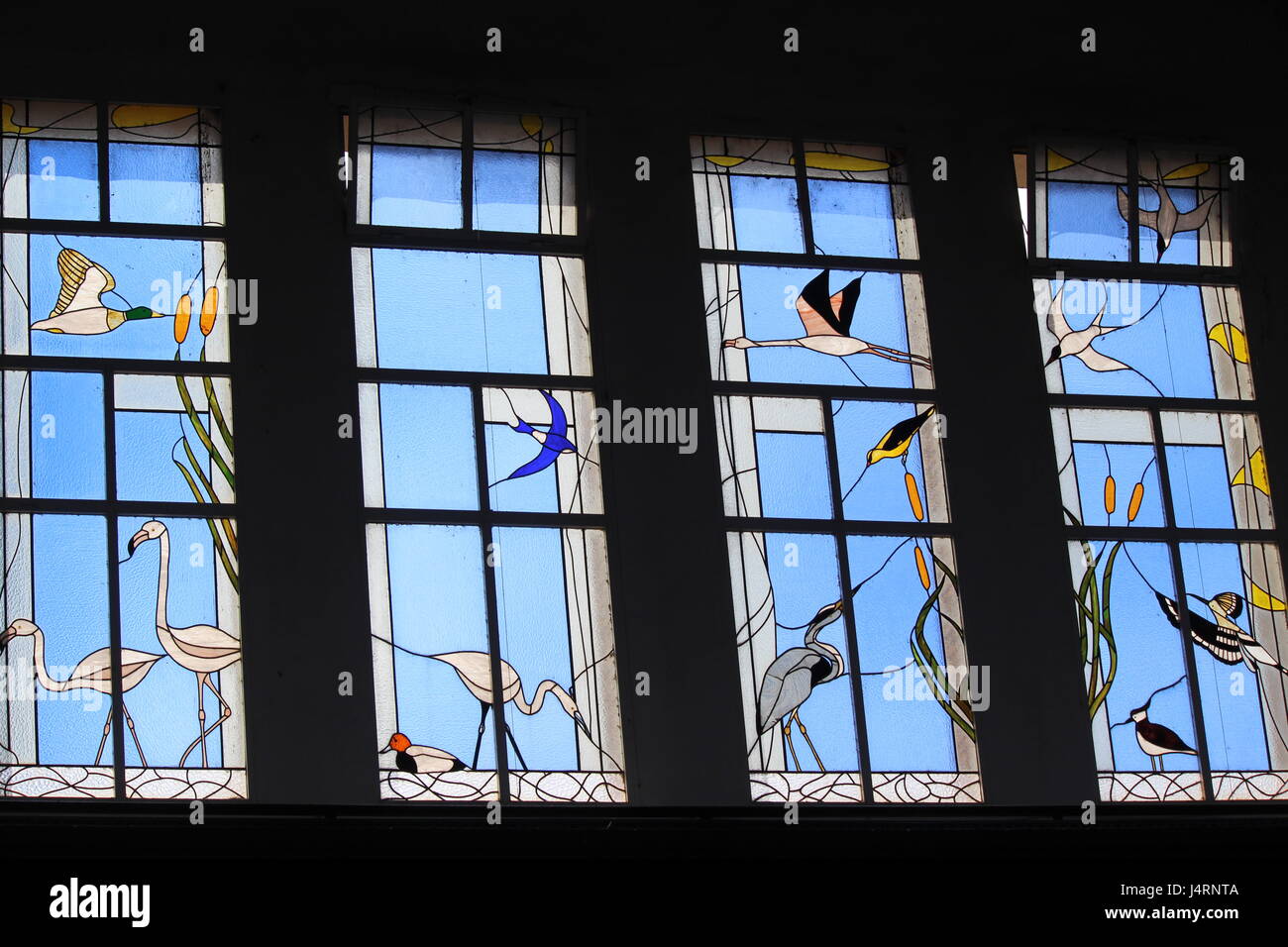 Glasfenster im Markt in Amposta zeigen Flamingos und andere Vögel fanden auf dem Fluss Ebro-delta Stockfoto