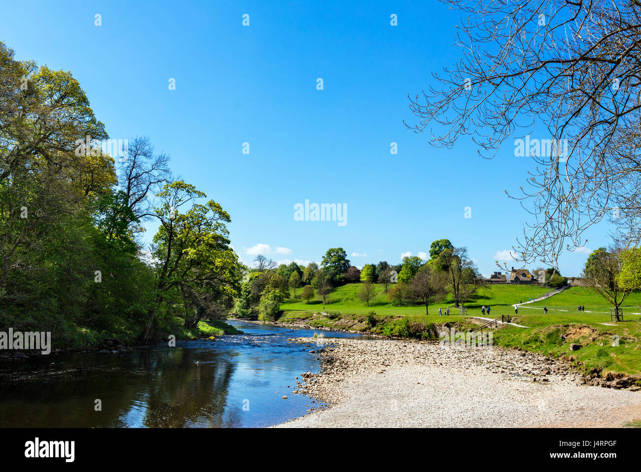 Fluß Wharfe bei Bolton Priory, Bolton Abbey, Yorkshire Dales National Park, North Yorkshire, England, UK Stockfoto