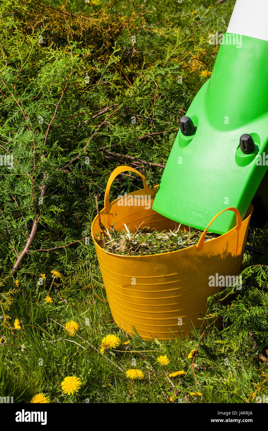 Elektro Garten Häcksler in einem Frühlingsgarten Stockfoto