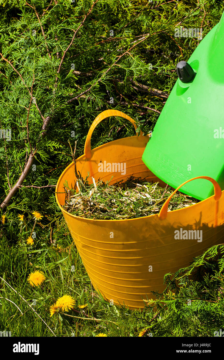 Elektro Garten Häcksler in einem Frühlingsgarten Stockfoto