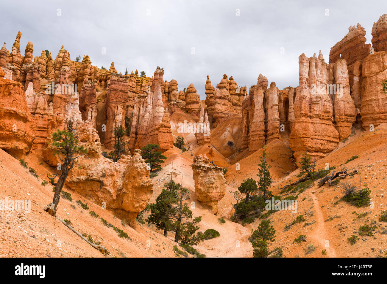 Betrachten oben erodierter Sandstein hoodoo Säulen im Bryce Canyon National Park an einem bewölkten Tag, Utah Stockfoto