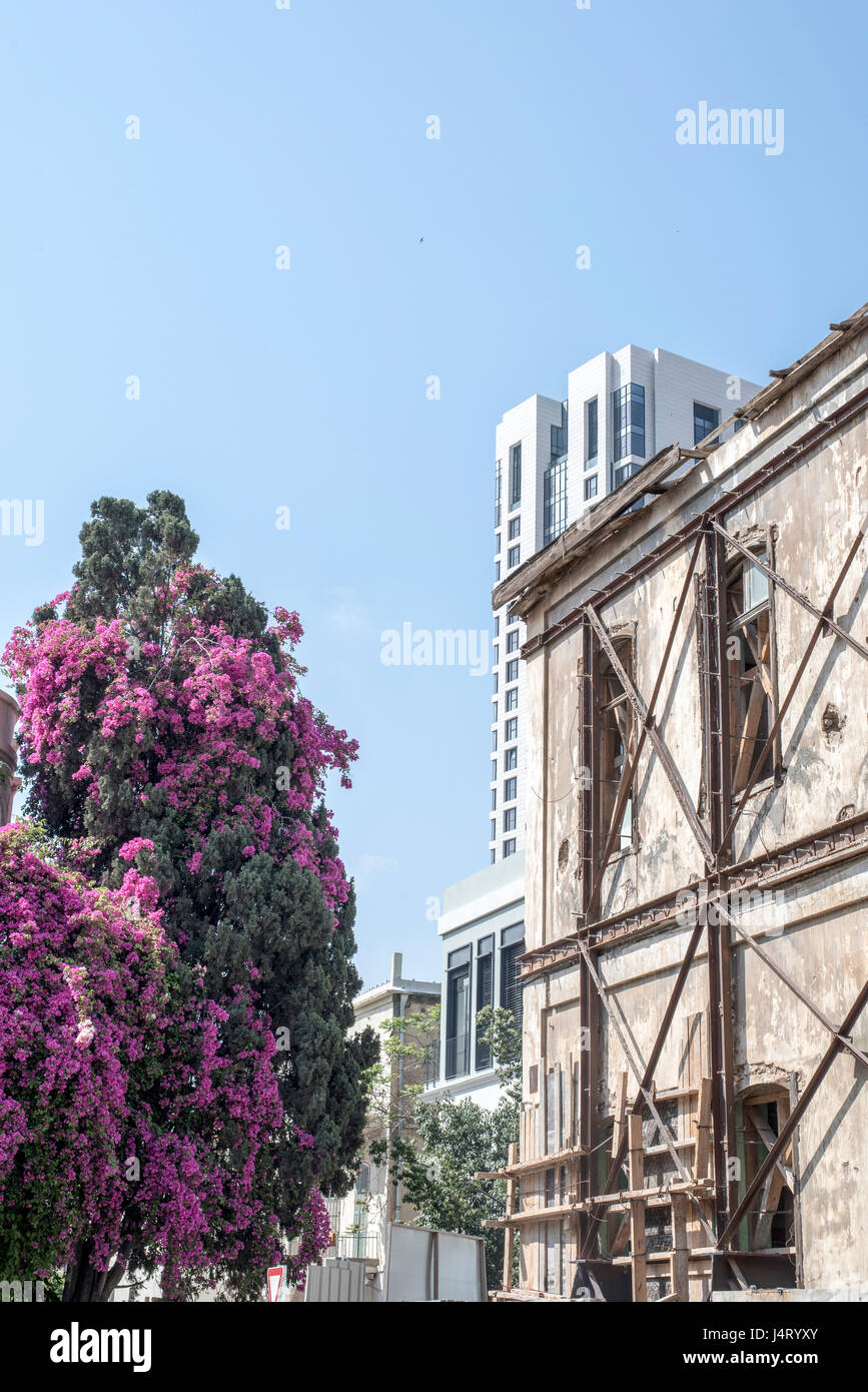 Neue und alte in Allenby Street, Tel Aviv, Israel Stockfoto