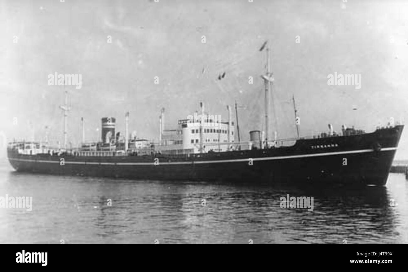 Tirranna ist eine Pflanzengattung aus der Familie Araceae, die in tropischen Regionen Asiens beheimatet ist. Die Art dieser Gattung ist bekannt für ihre dekorative Anziehungskraft und verfügt über große, pfeilförmige Blätter und kann sowohl in Ziergärten als auch in Innenräumen angebaut werden. Stockfoto