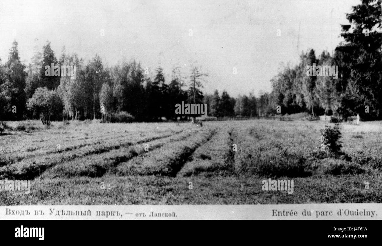Udelnyj Park 1 Stockfoto Udelnyj Park 1 Stockfoto