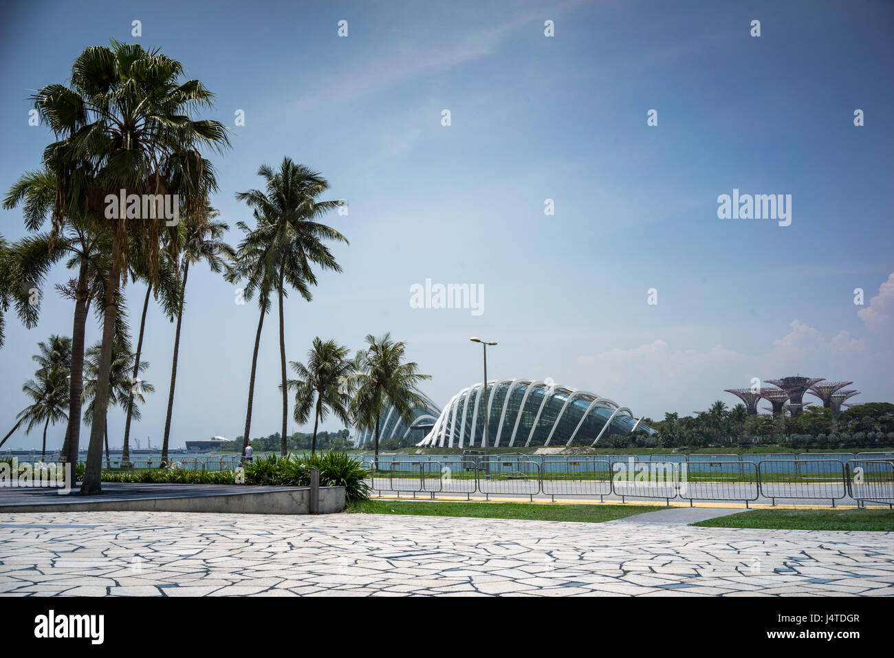 Palm Dreier und Concourse gegenüber den Gärten an der Bucht in Singapur Stockfoto
