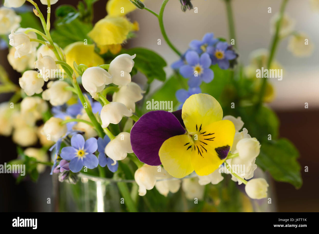 kleinen Frühlingsblumen in Haufen Stockfoto