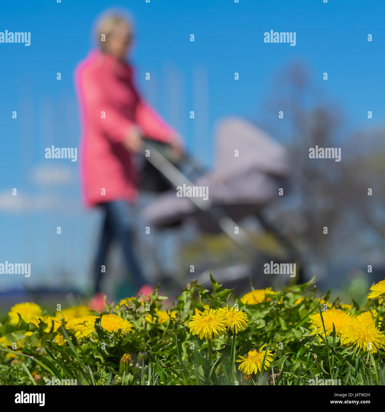 Unscharfen Hintergrund von jungen Frauen mit Kindern im Kinderwagen, Park, Frühling, grünen Rasen Wiese und leuchtend gelbe junge Löwenzahn Stockfoto