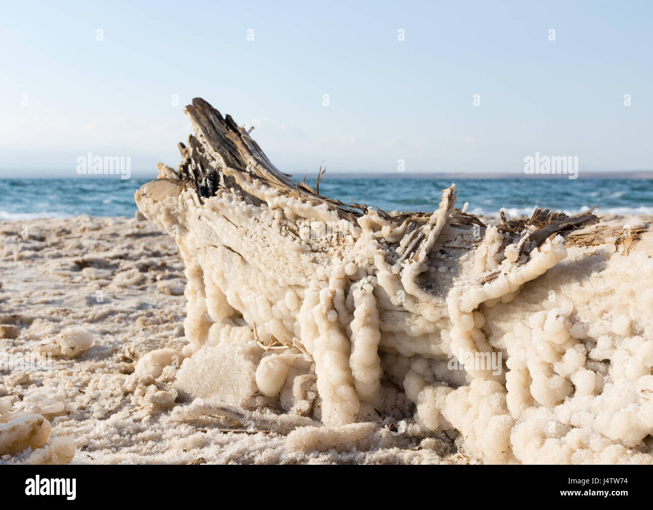 Nahaufnahme von Totes Meersalz auf ein Stück Treibholz in Salz gesättigten Sand mit dem Aquamarin farbigen Toten Meer im Hintergrund und blauer Himmel oben. Stockfoto