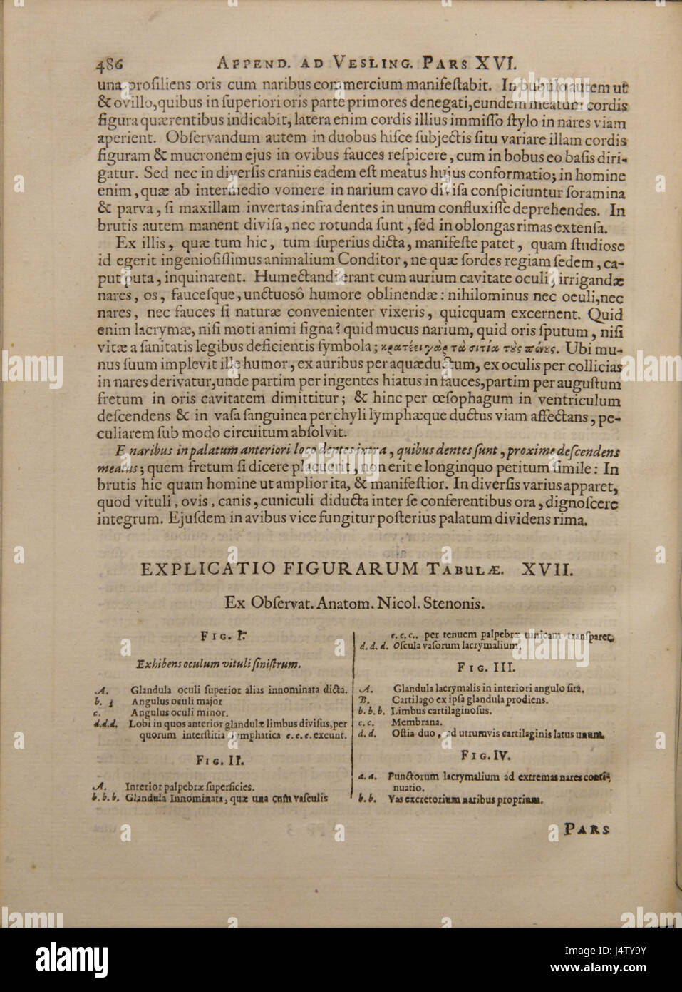 Veslings „Syntagma Anatomicum“ ist ein bedeutendes Werk in der Geschichte der Anatomie. Dieser im 17. Jahrhundert veröffentlichte Text trug zum Verständnis der menschlichen Anatomie in der Frühen Neuzeit bei. Stockfoto