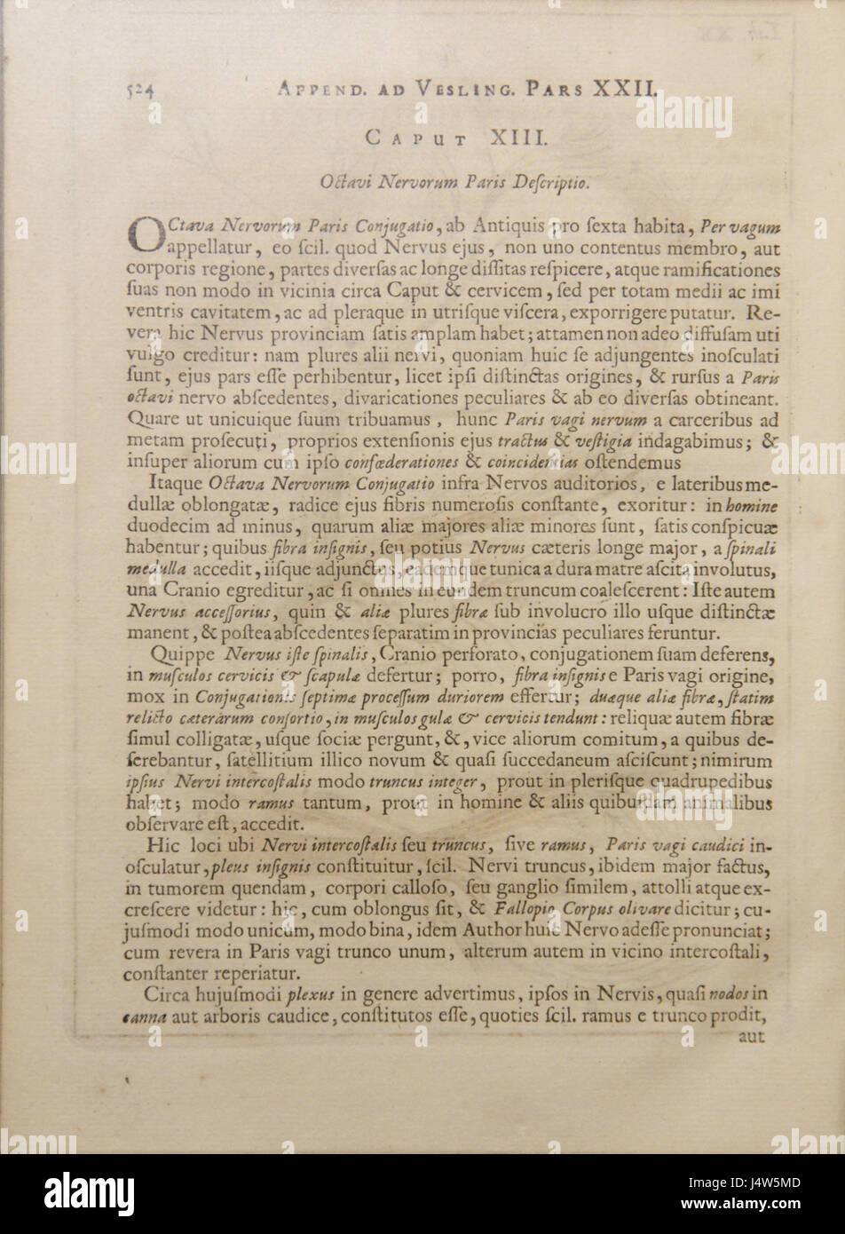 Das Syntagma Anatomicum von Vesling ist ein bedeutendes Werk in der Geschichte der Anatomie. Der Text, eine grundlegende Ressource, bietet detaillierte anatomische Illustrationen und Beschreibungen aus dem 17. Jahrhundert. Stockfoto