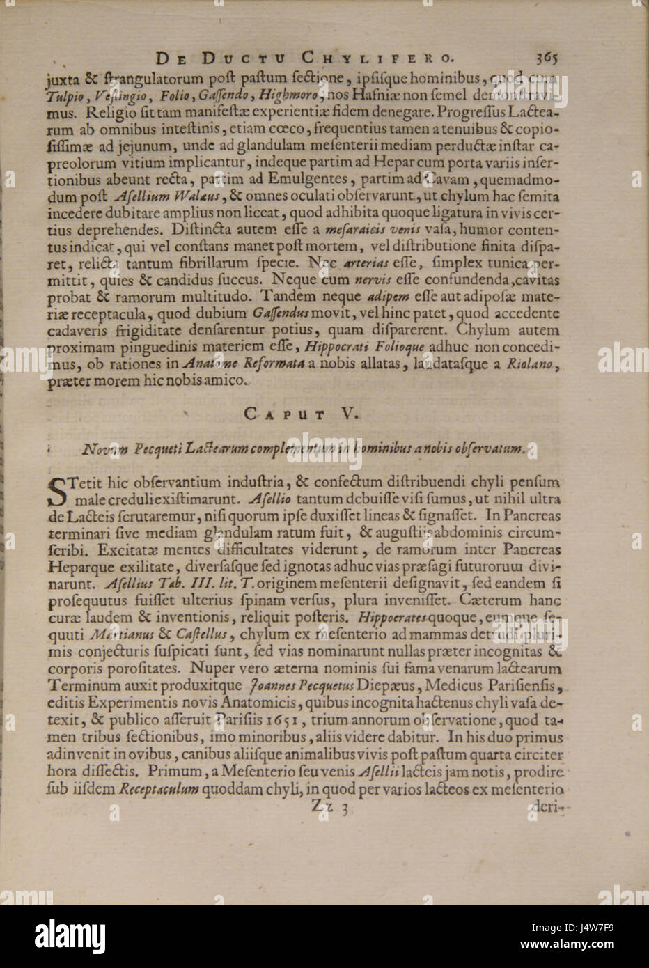 Vesling Syntagma Anatomicum 365 Stockfoto
