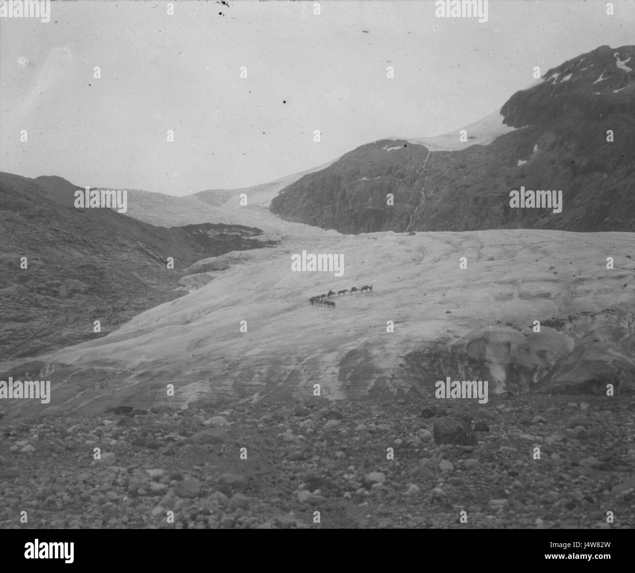 Der Titel bezieht sich auf die Wegener-Expedition von 1930, eine Forschungsmission unter der Leitung des deutschen Wissenschaftlers Alfred Wegener, die vor allem für seine Arbeiten zur Kontinentaldrift bekannt ist und Polarregionen und deren Geologie erforscht. Stockfoto