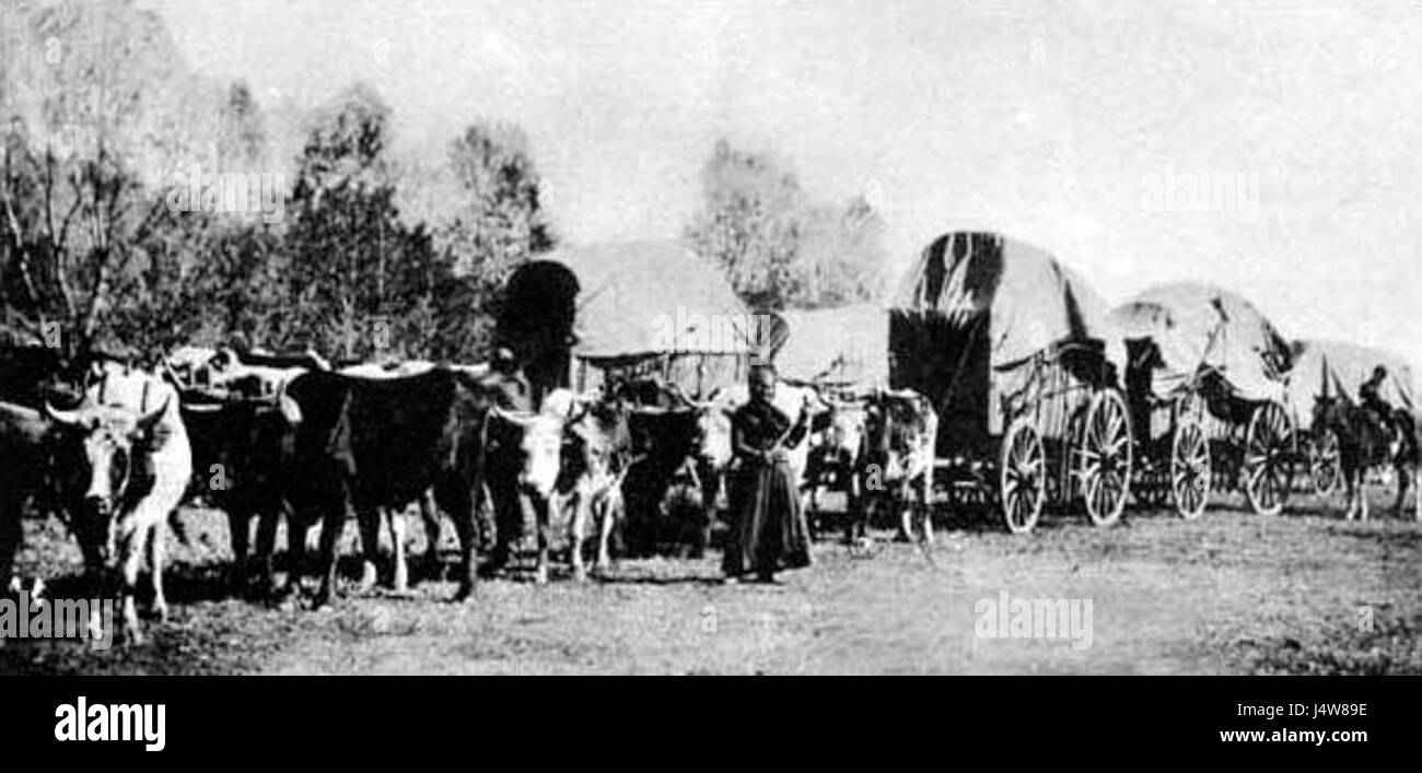 Ein Waggonzug bezeichnet eine Gruppe von überdachten Wagen, die zusammen reisen und typischerweise im 19. Jahrhundert für Fernwanderungen durch Nordamerika eingesetzt werden, insbesondere während der Expansionsphase nach Westen. Stockfoto