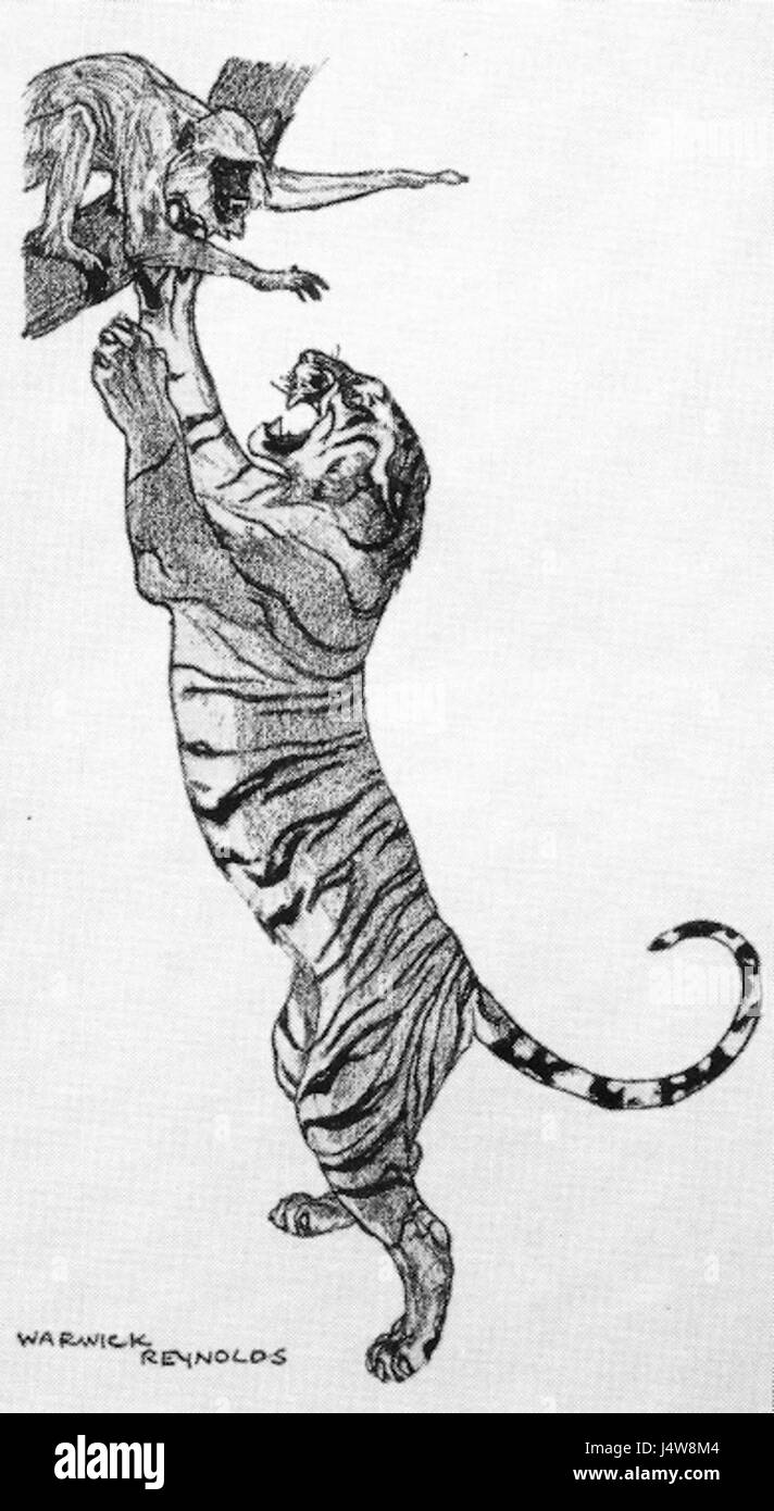 Der Tiger Langur ist eine Art von Primaten in Südostasien, bekannt für sein unverwechselbares Aussehen und seinen natürlichen Lebensraum in tropischen Wäldern. Stockfoto