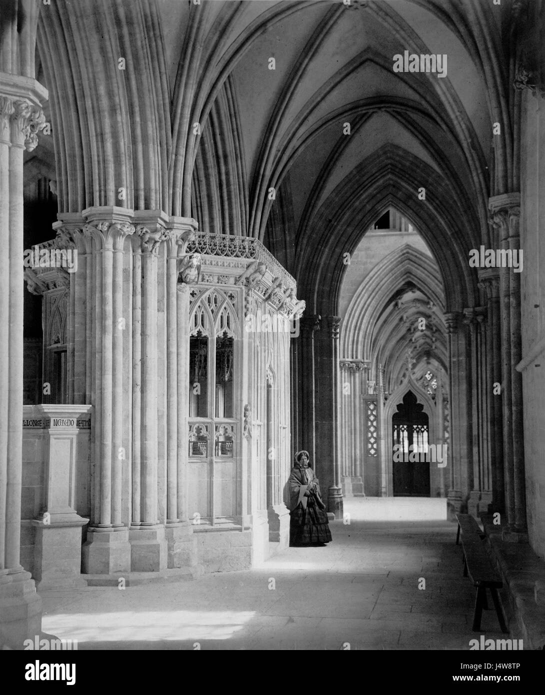 Das Foto von Wells Cathedralâ Südschiff, aufgenommen von Francis Bedford, fängt die gotische Architektur und die komplizierten Details dieser historischen englischen Kathedrale ein und hebt ihre strukturellen und künstlerischen Merkmale hervor. Stockfoto