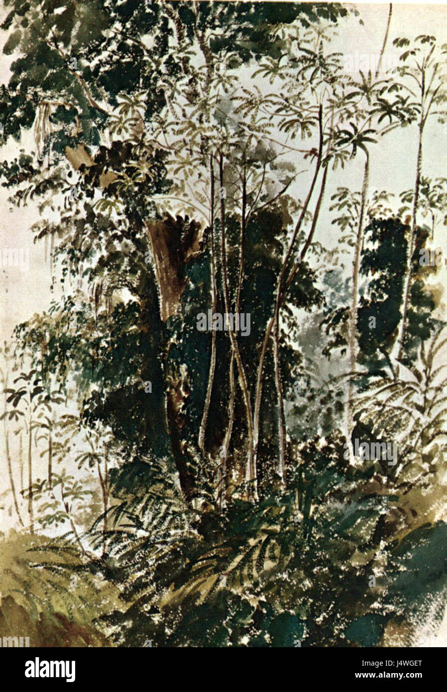 August tropische Camille Pissarro Stockfoto