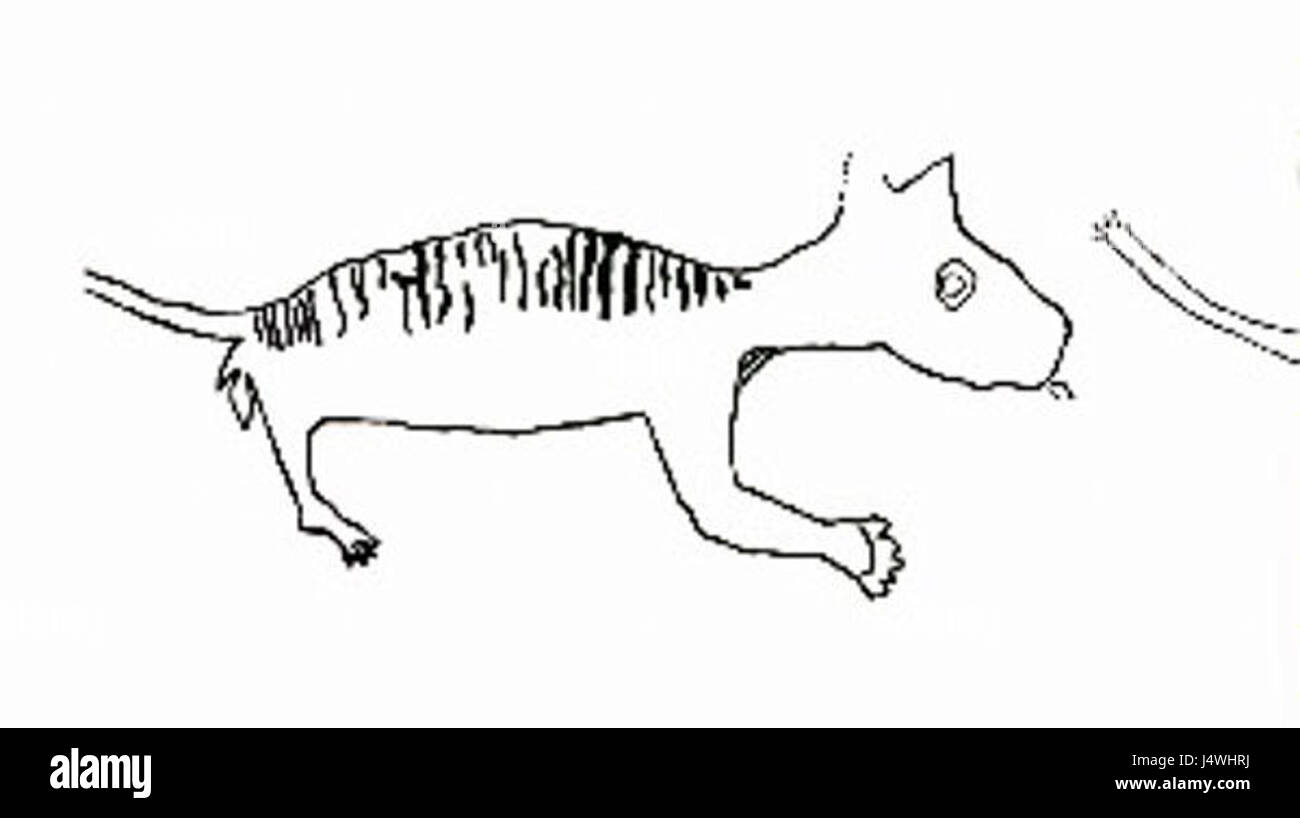 Thylacoleo Carnifex Höhlenkunst Stockfoto